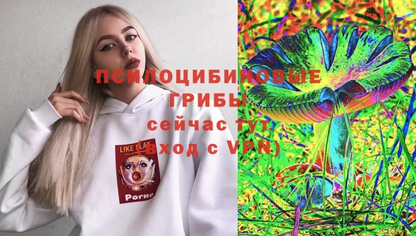 дмт Сатка
