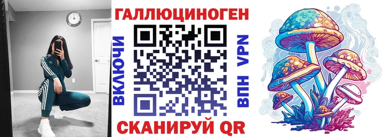 Галлюциногенные грибы Psilocybe  МЕГА как войти  Камешково 