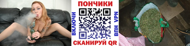 Бошки марихуана LSD WEED  купить наркотик  блэк спрут сайт  Камешково 